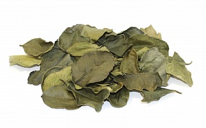 Сушеные листья Кафир лайма целые(3*100 г) Тайланд